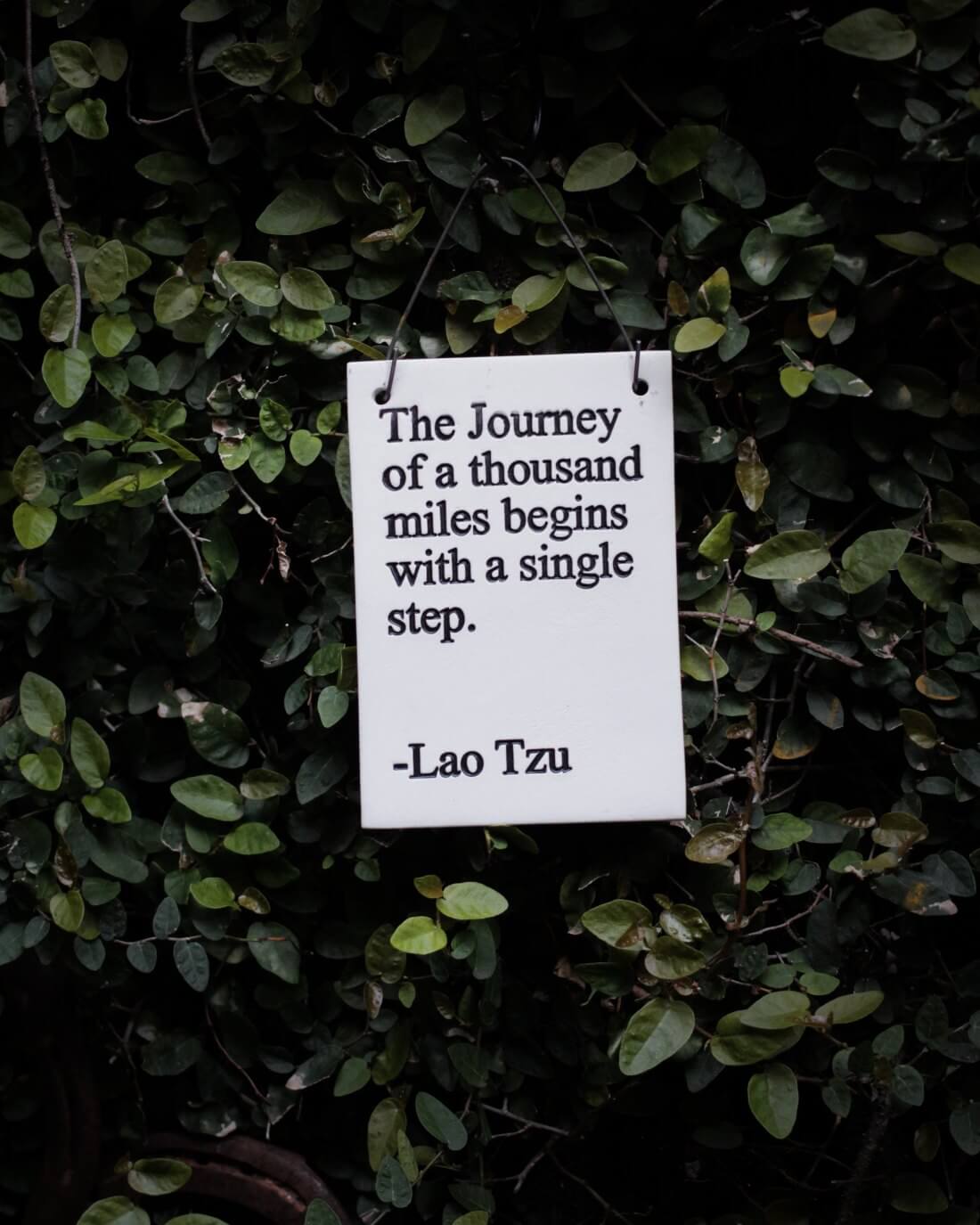 Lao Tzu Quote printed on a card